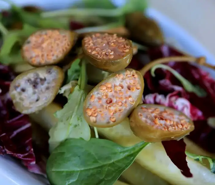 Fresh salad